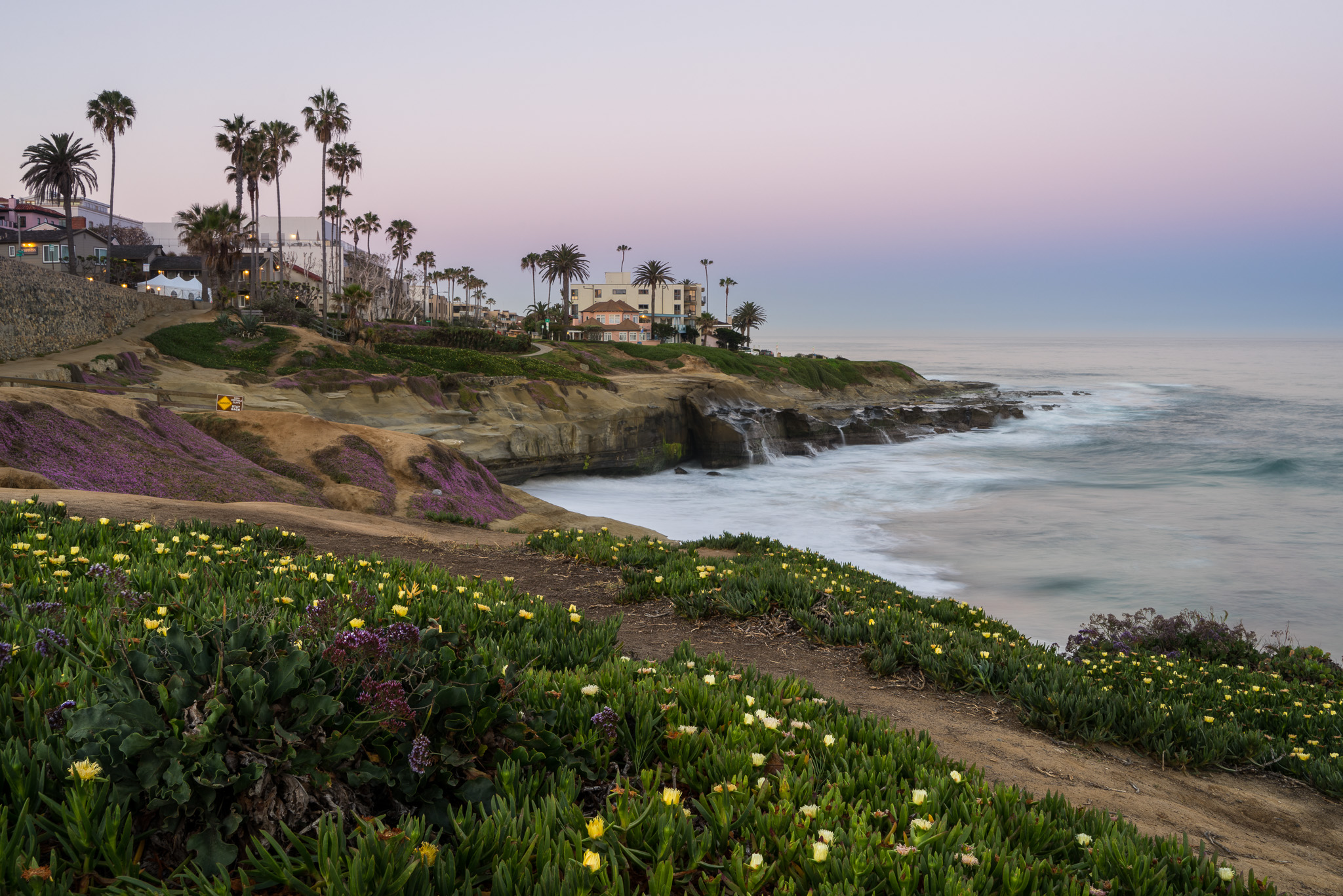 Wildflowers At The Ocean