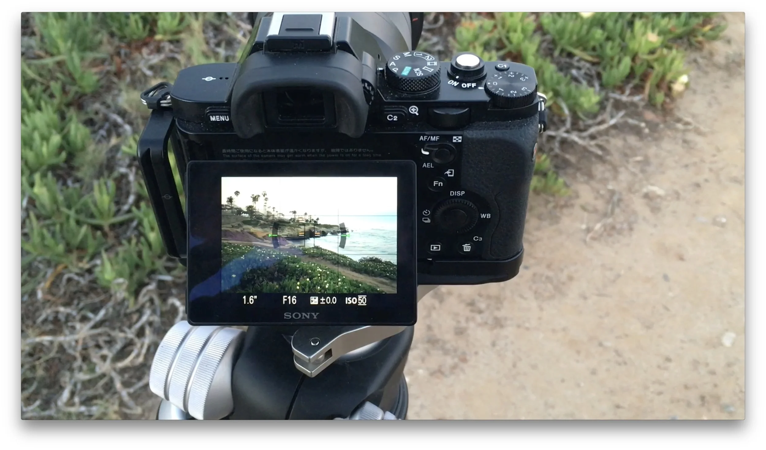 In The Field: Switching To Scouting Mode #134