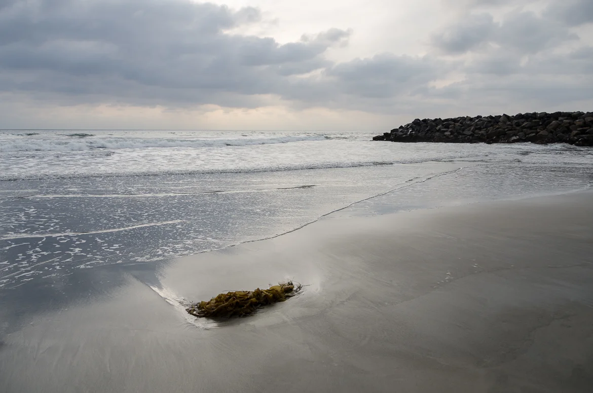 Retouch-Beach-DistractionsRemoved-1.jpg