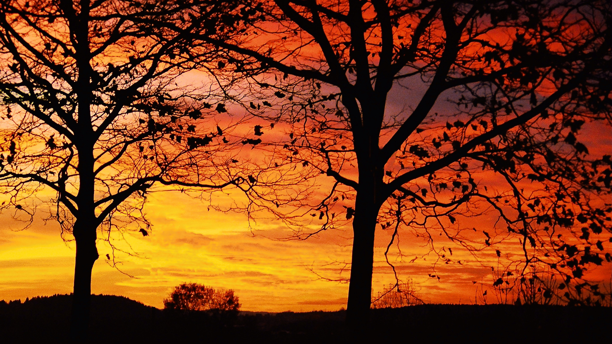 Zurich Sky On Fire