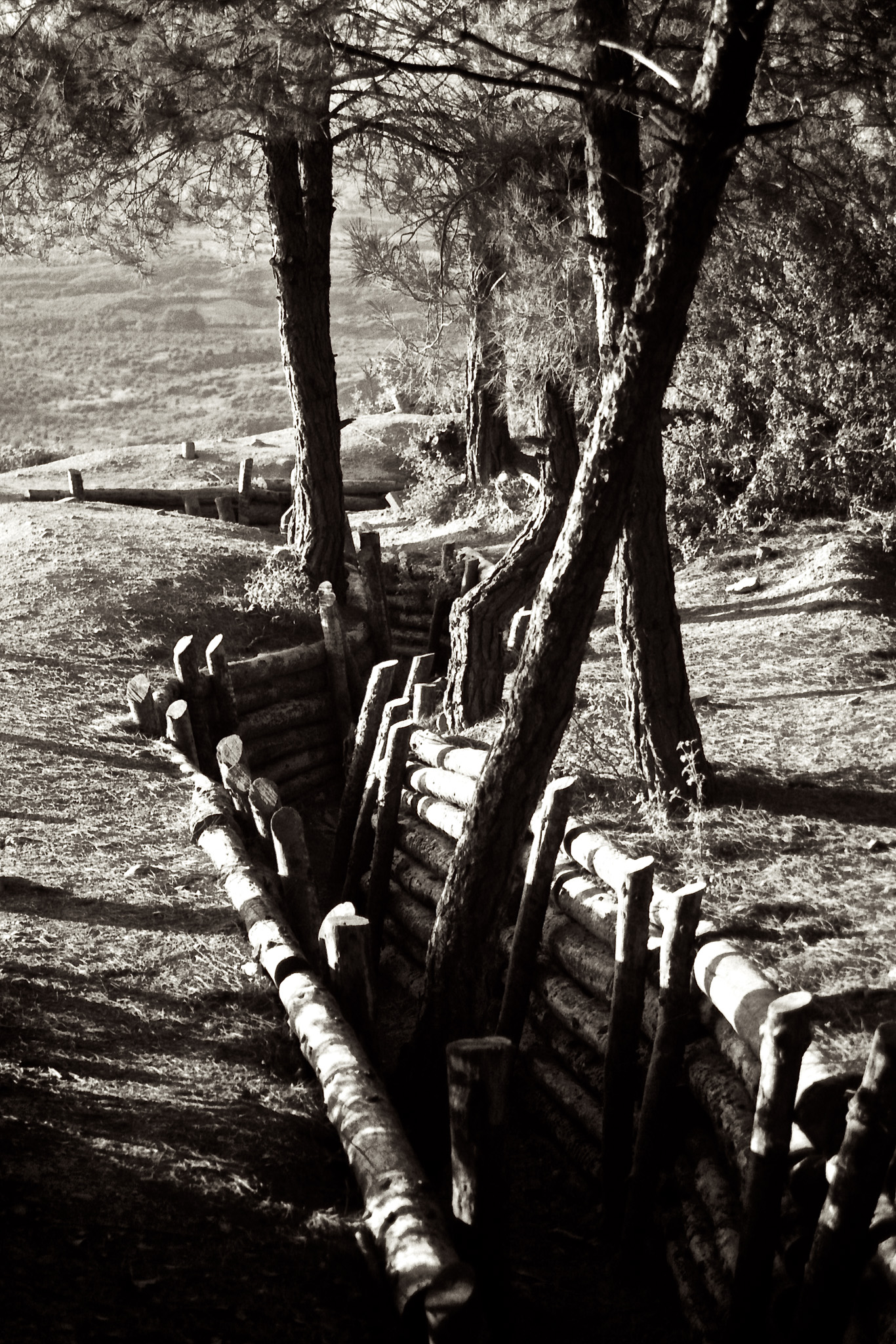 The Trenches