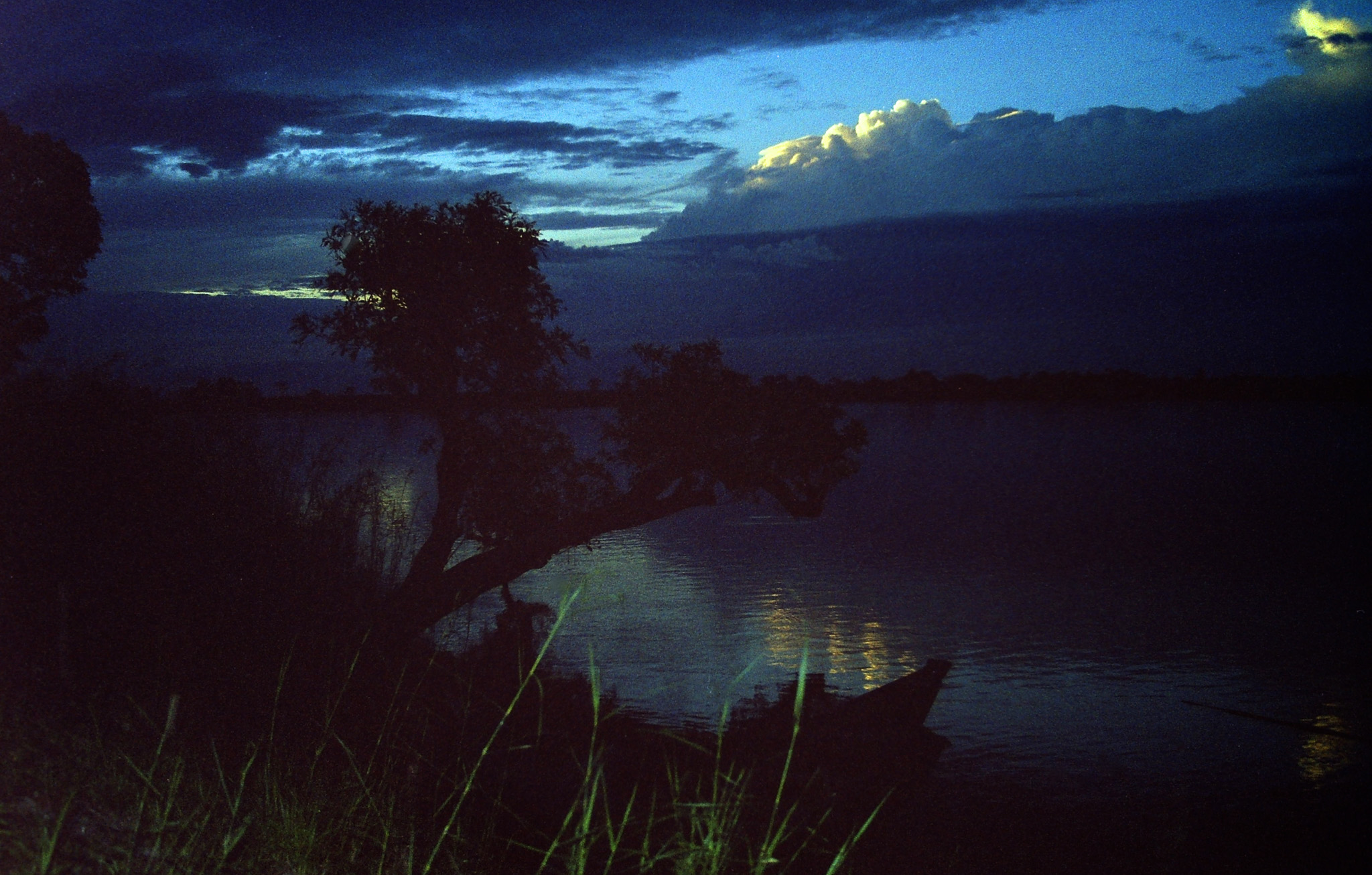 A Month Of Travel: Day 6 - Assam, India