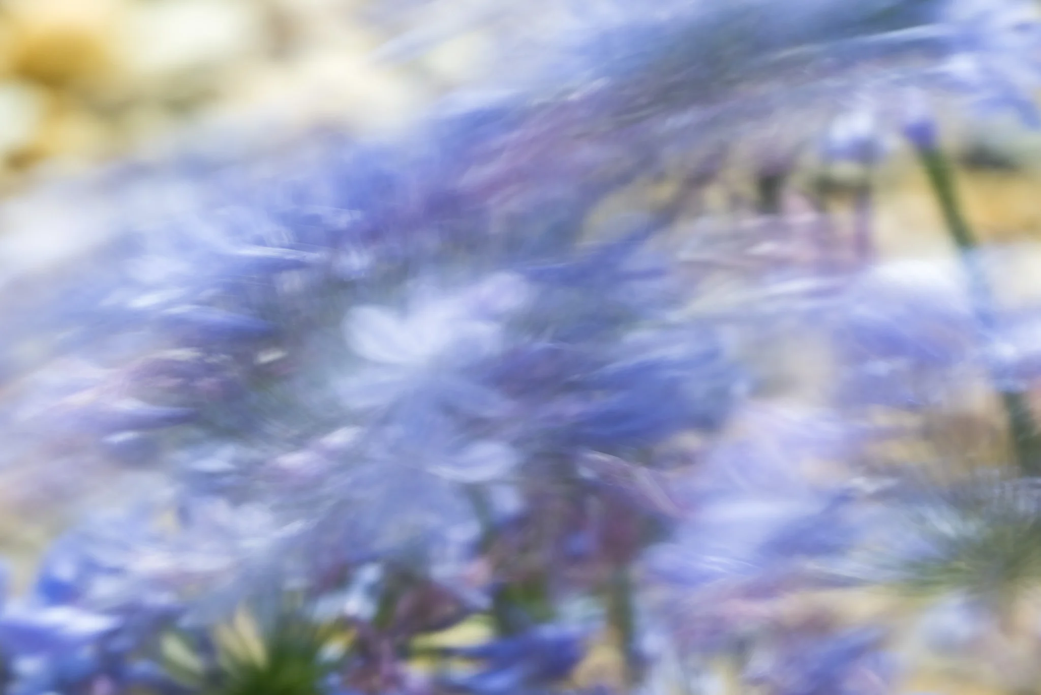 Natural Brush Strokes