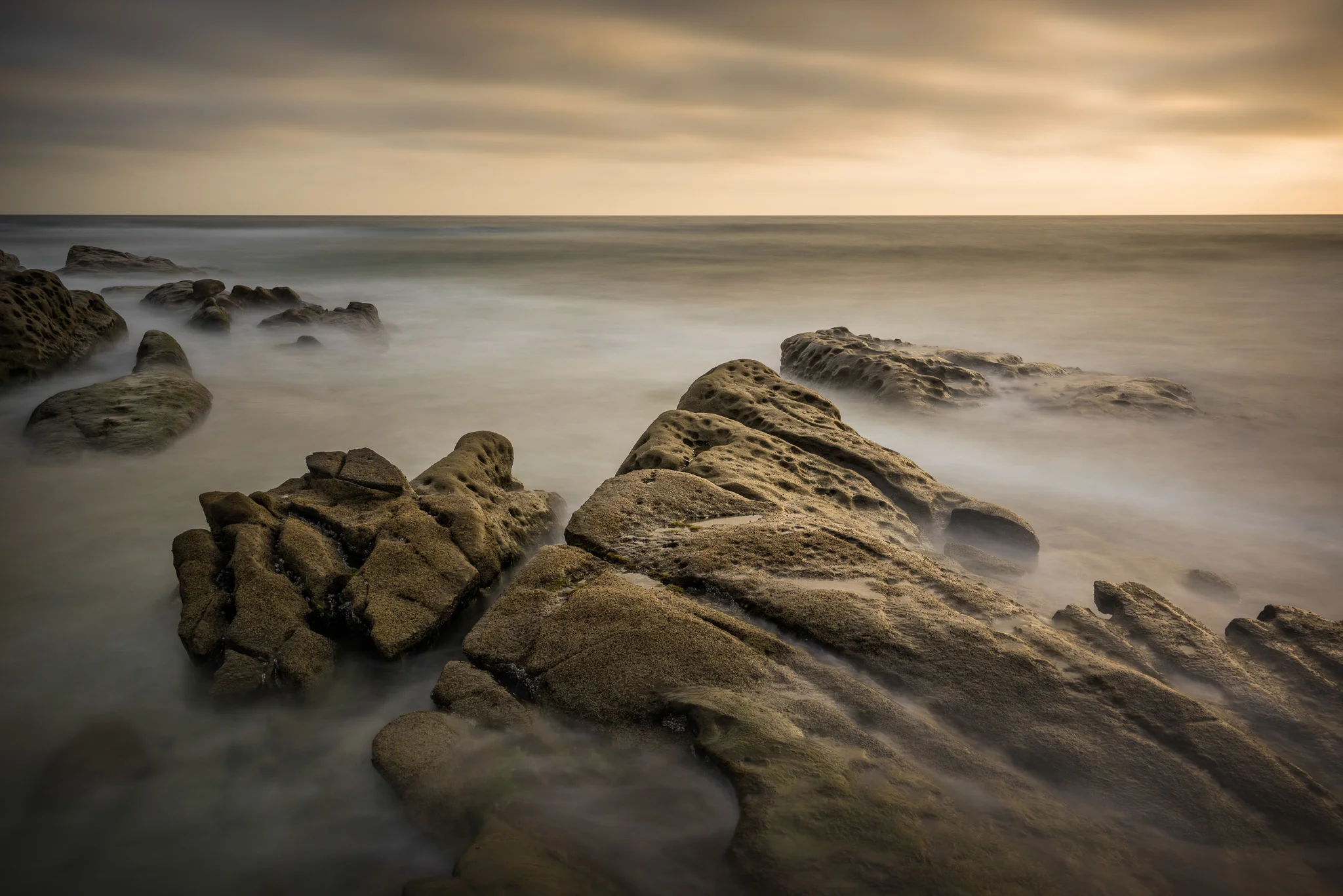 Getting Excited For The San Diego Coastlines Workshop