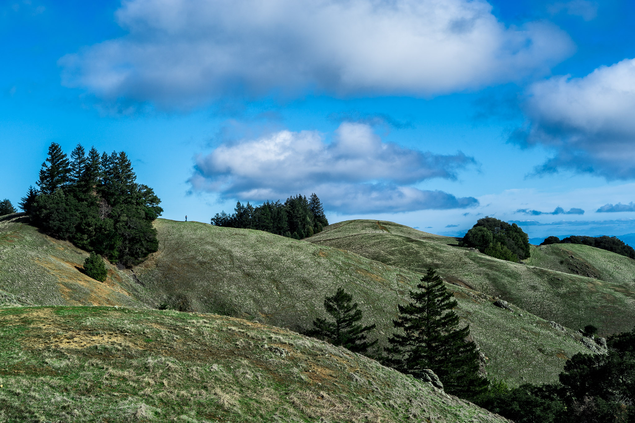 Rolling Hills of Bolinas Ridge