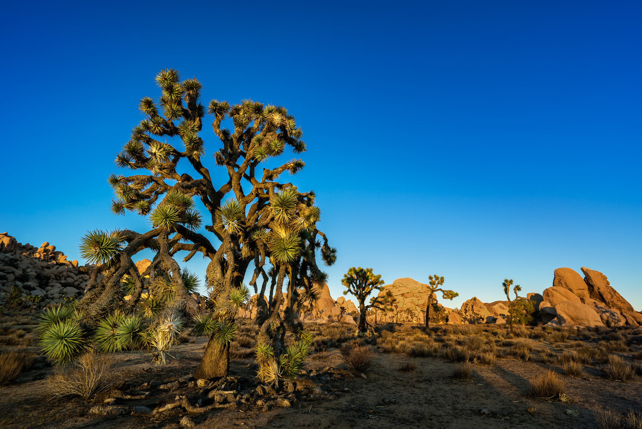 Sunset In Hidden Valley