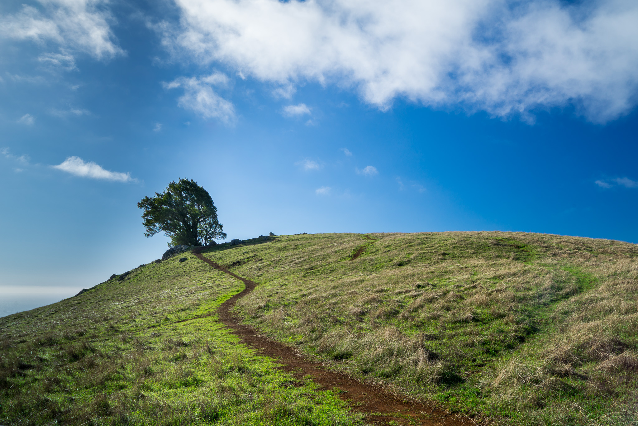 Compositional framing, leading lines and filling the frame