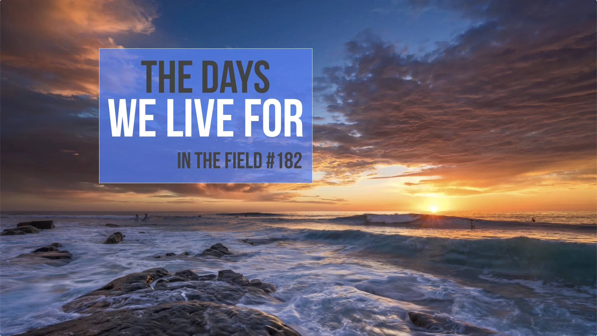 In The Field: The Days We Live For #182