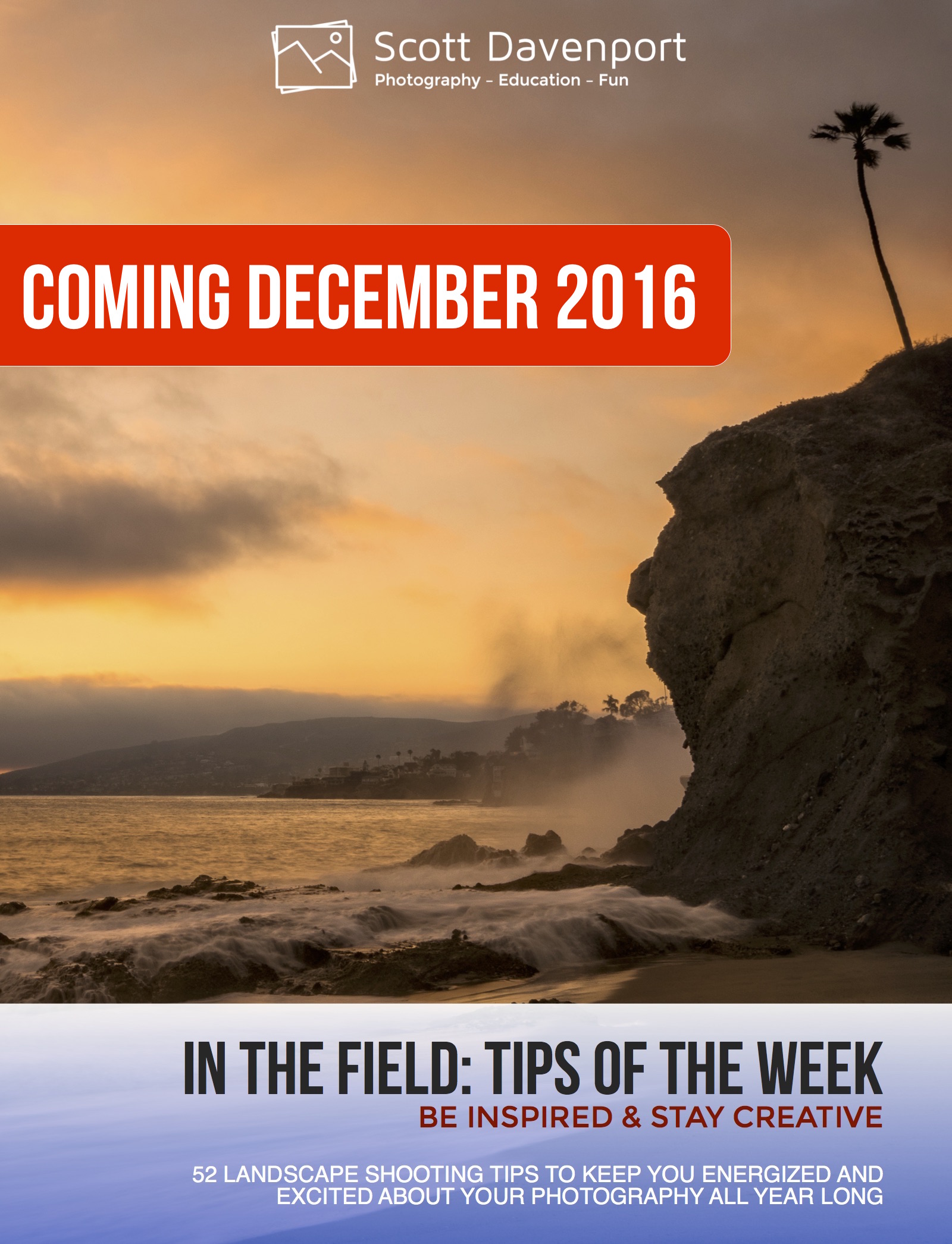 In The Field Book Coming In December 2016