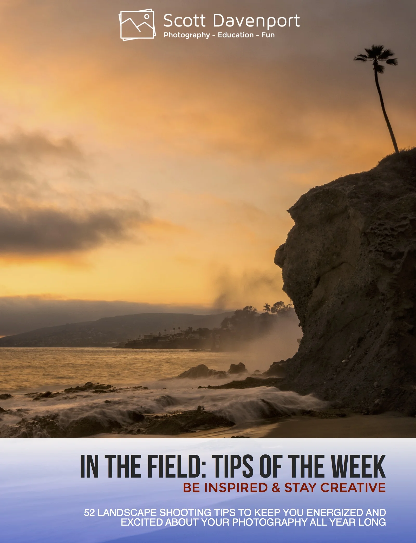 The 'In The Field' Book Is Here! And A Black Friday Sale!