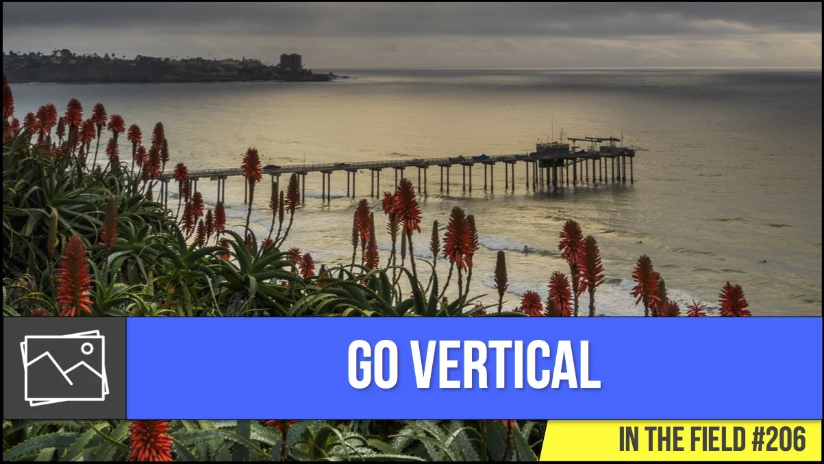 In The Field: Go Vertical #206