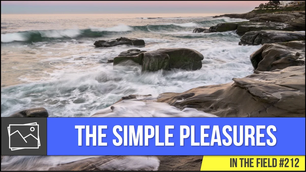In The Field: The Simple Pleasures #212