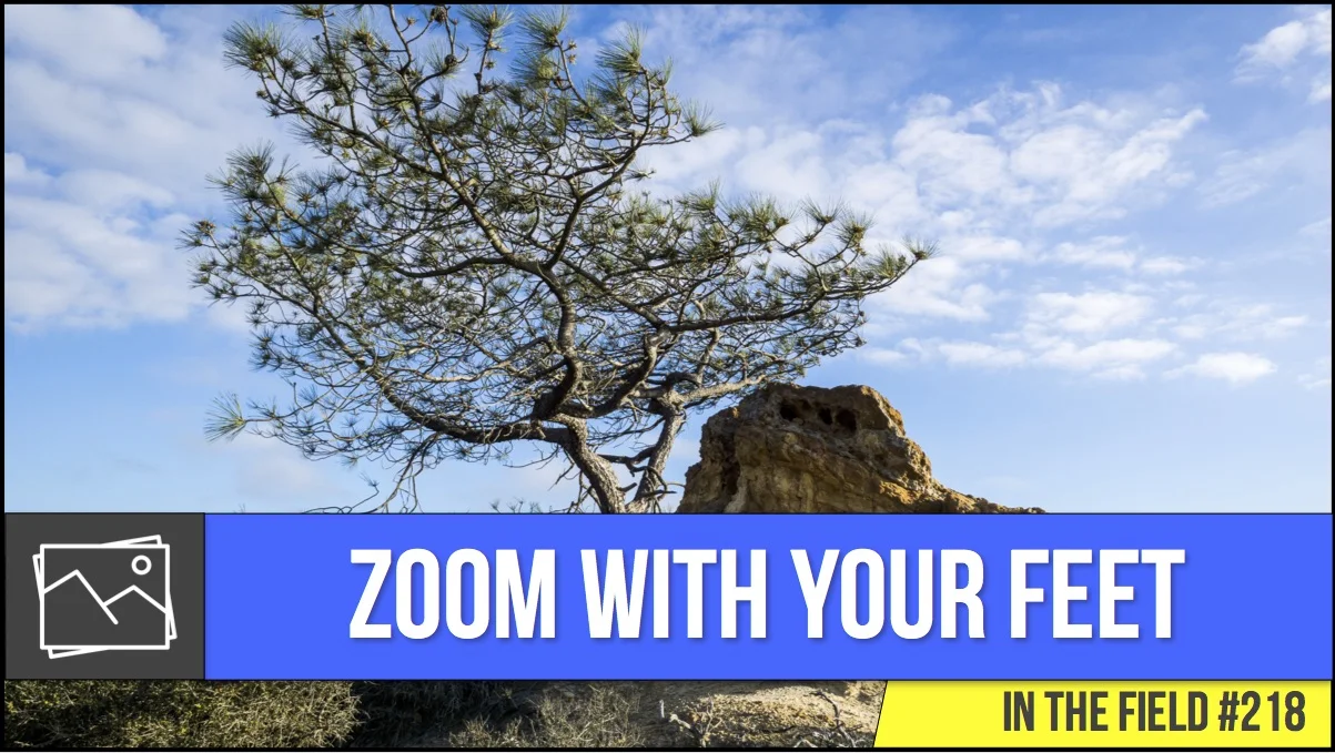 In The Field: Zoom With Your Feet #218
