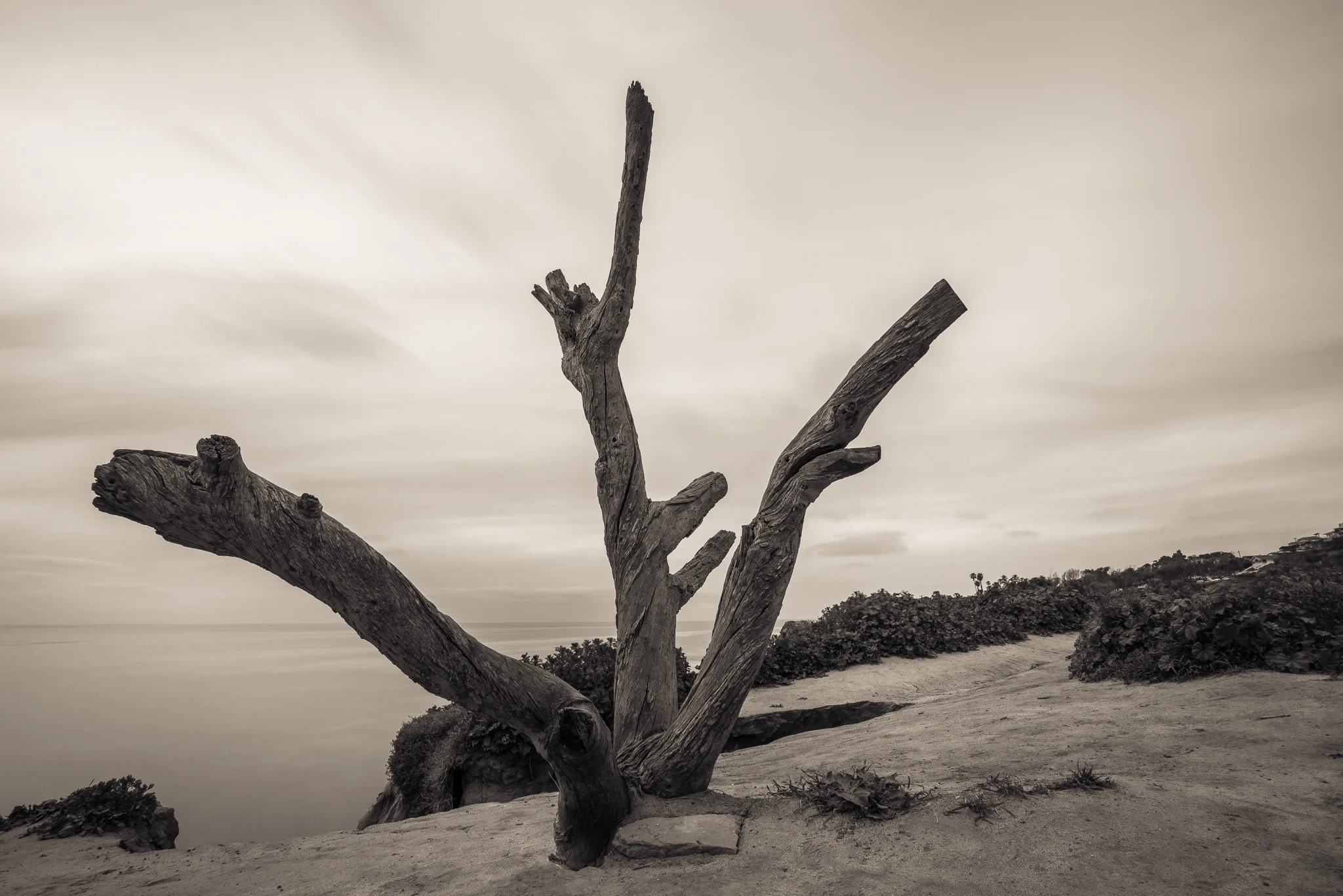 New Projects And Unsuccessful Shoots
