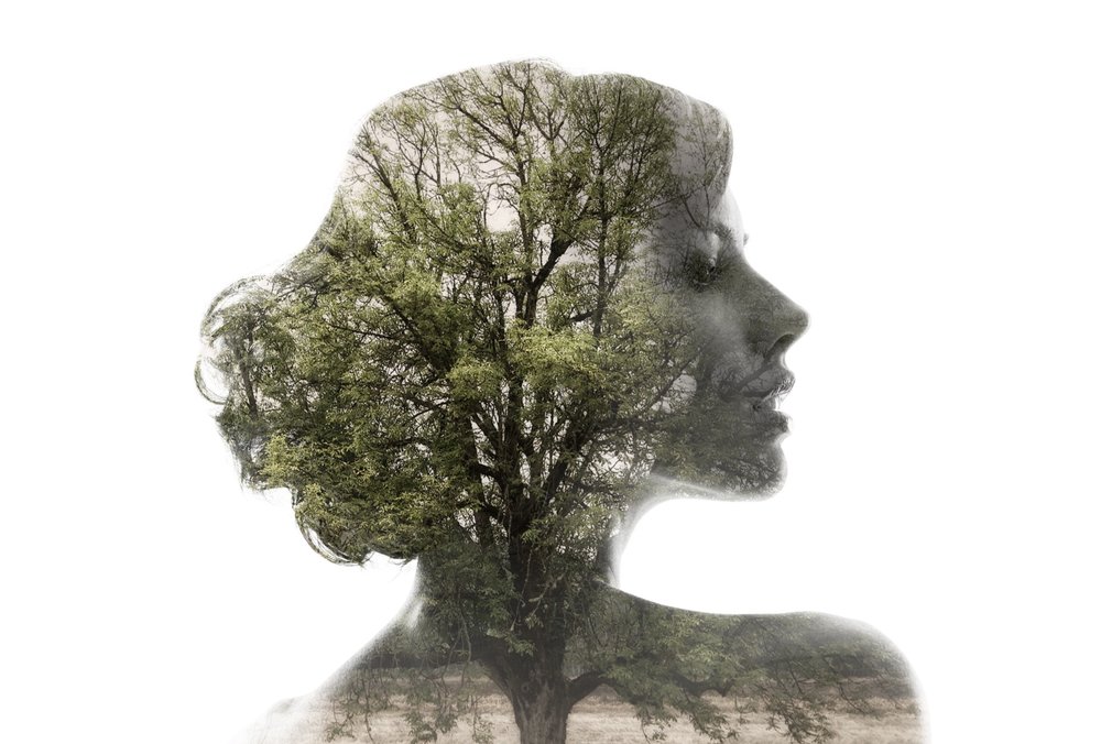 Double Exposures In Macphun Luminar — Scott Davenport Photography