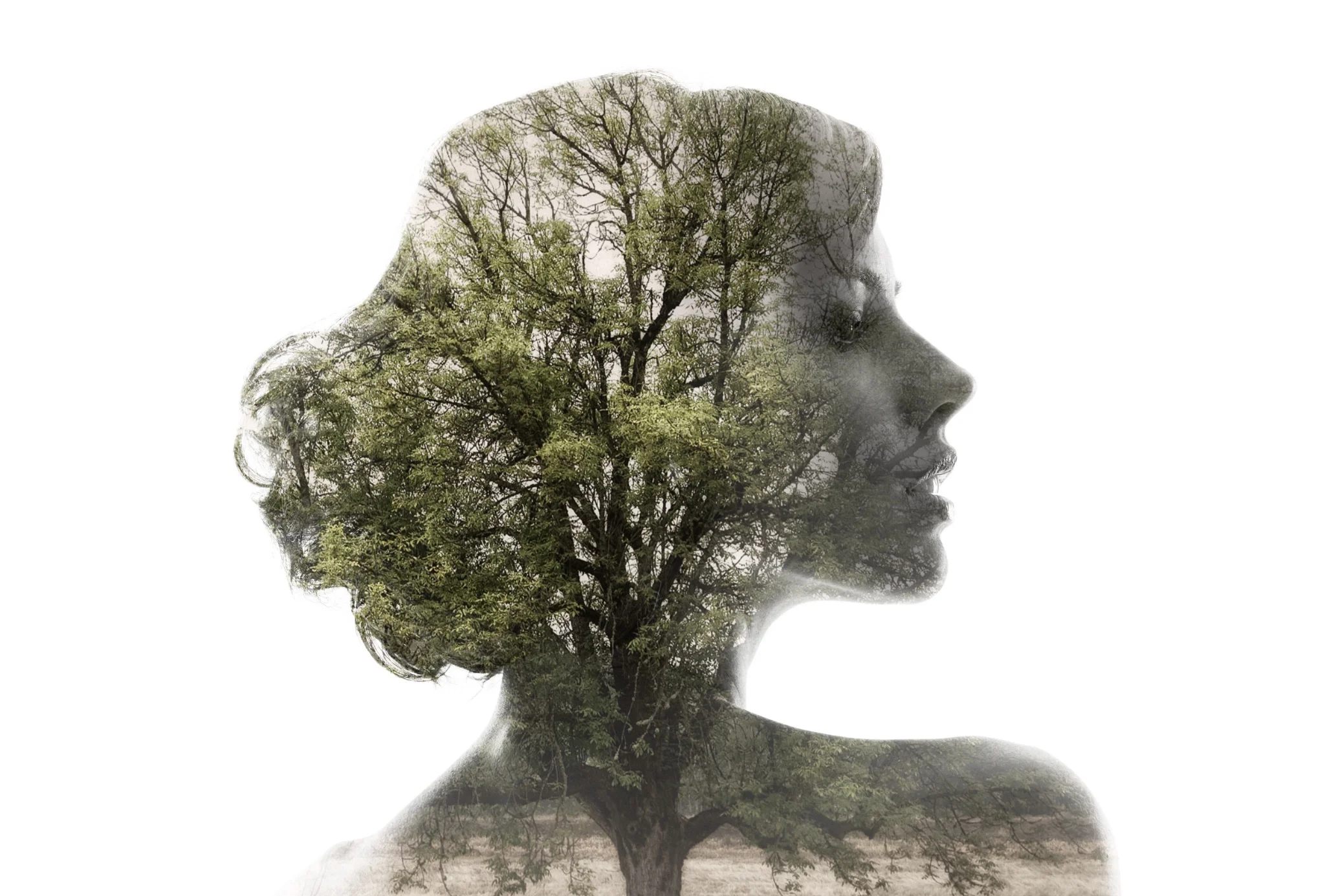 Double Exposures In Macphun Luminar