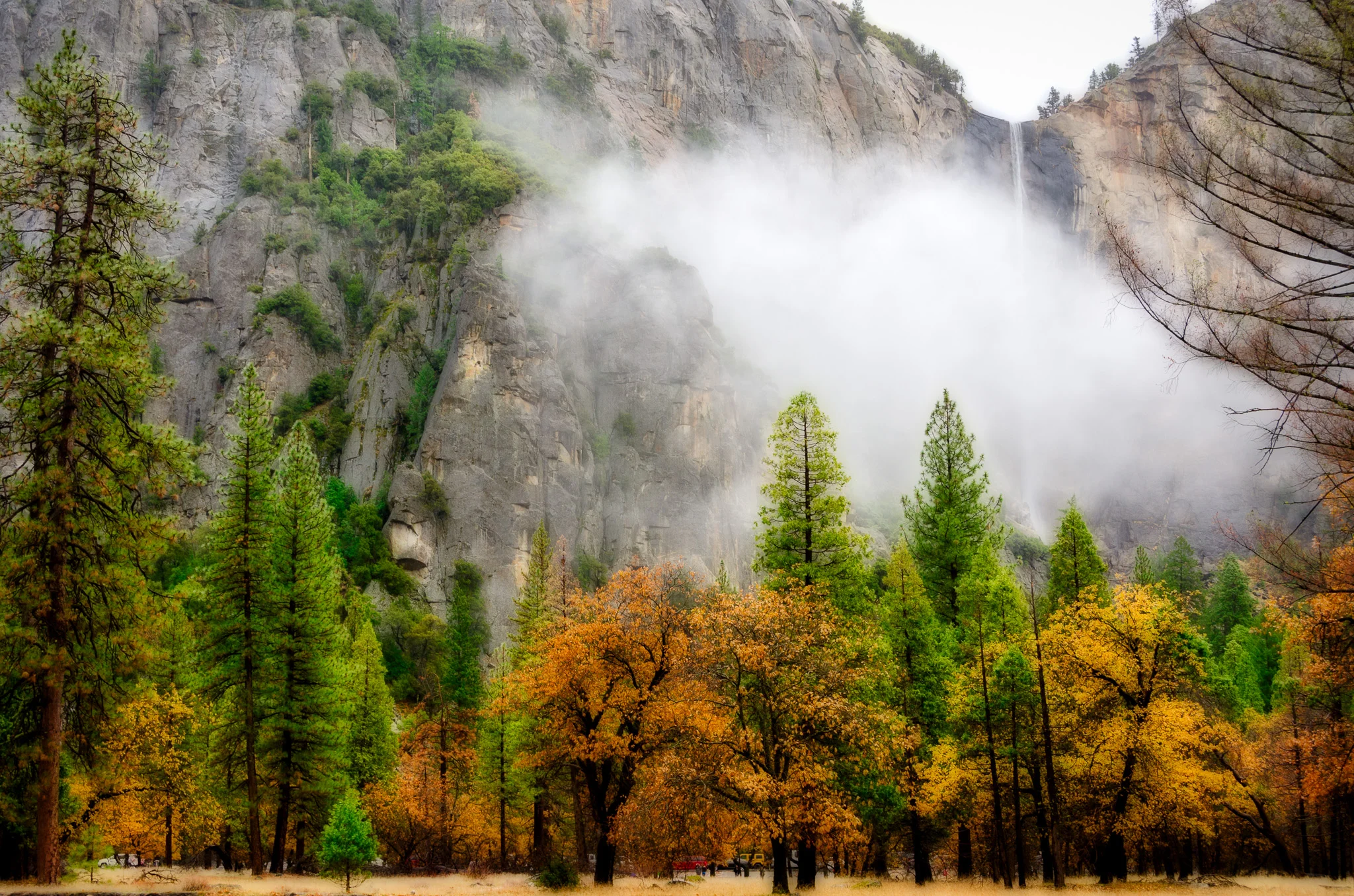 Vibrant Yosemite