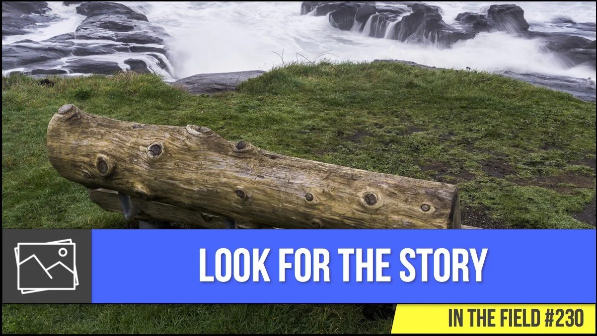 In The Field: Look For The Story #230