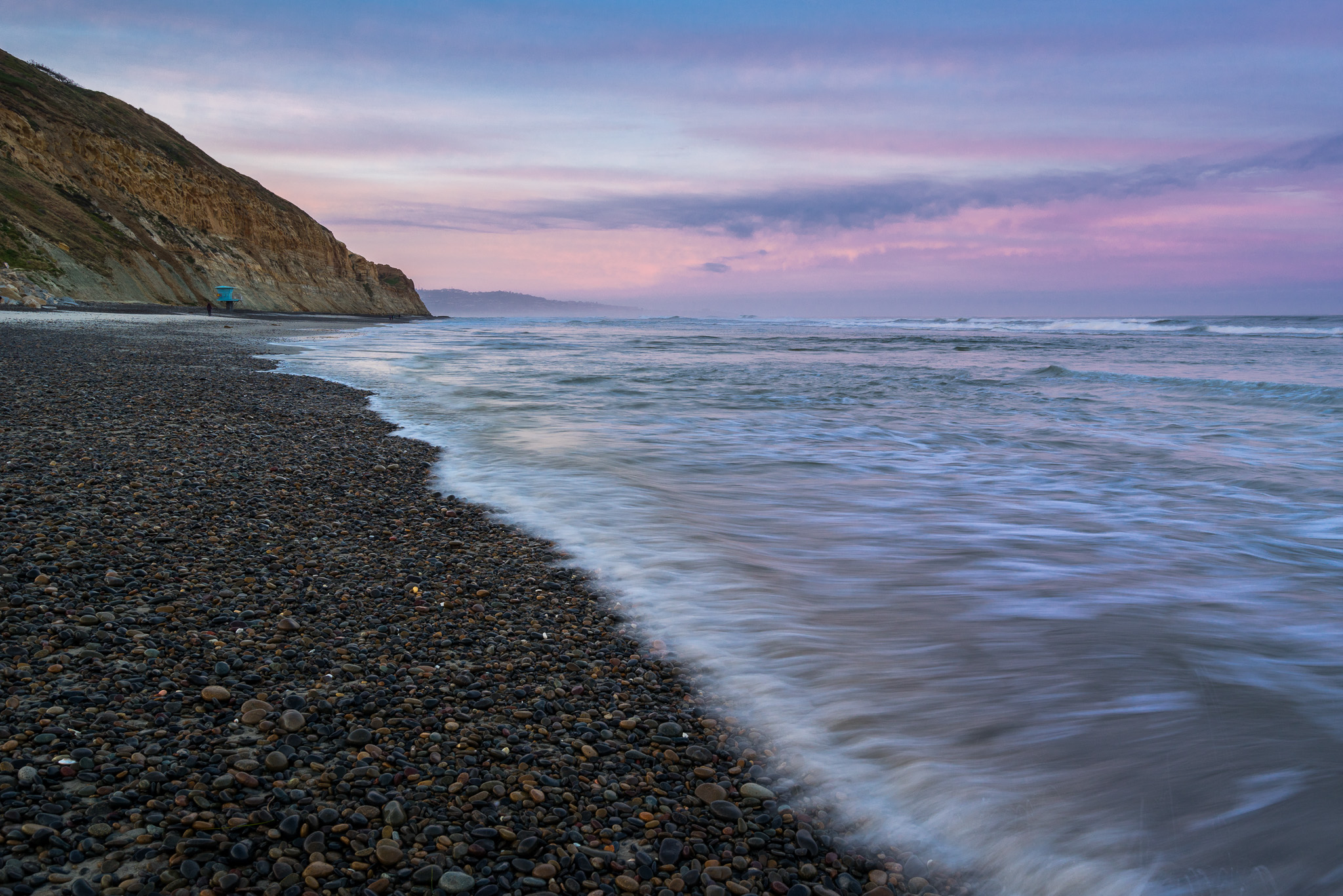 Torrey Pines At Dawn