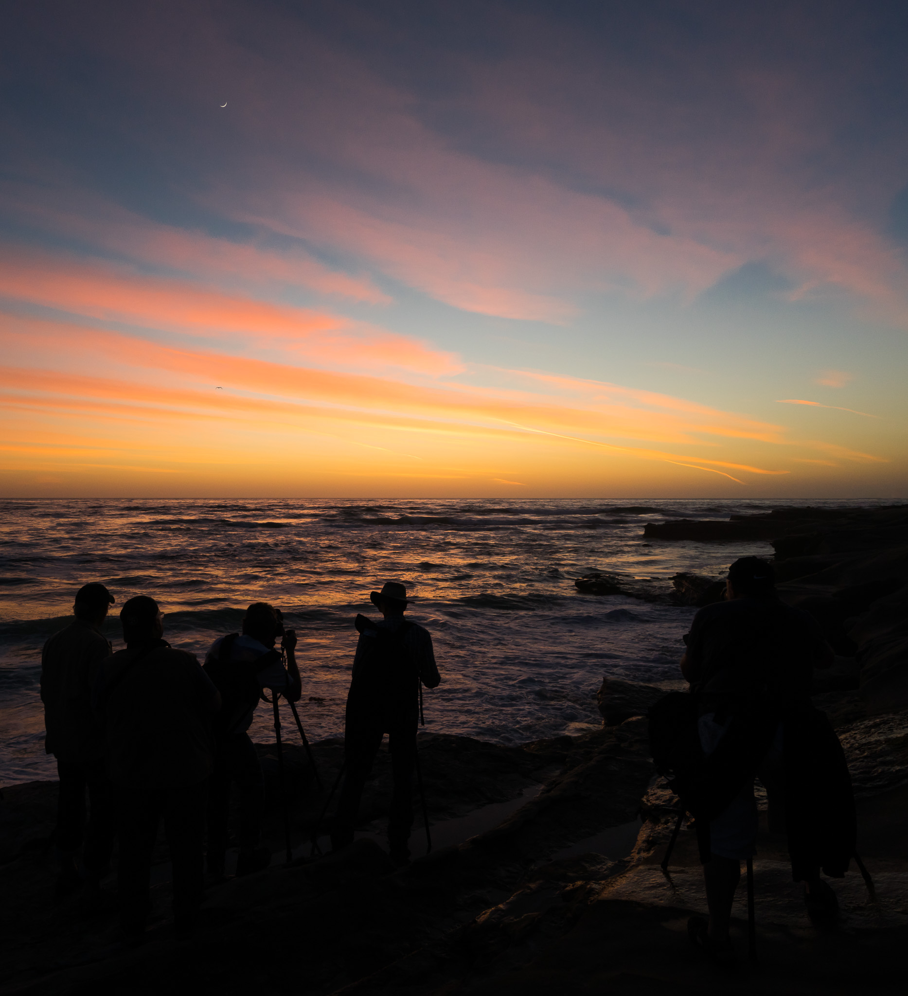 The Workshop Group At Sunset