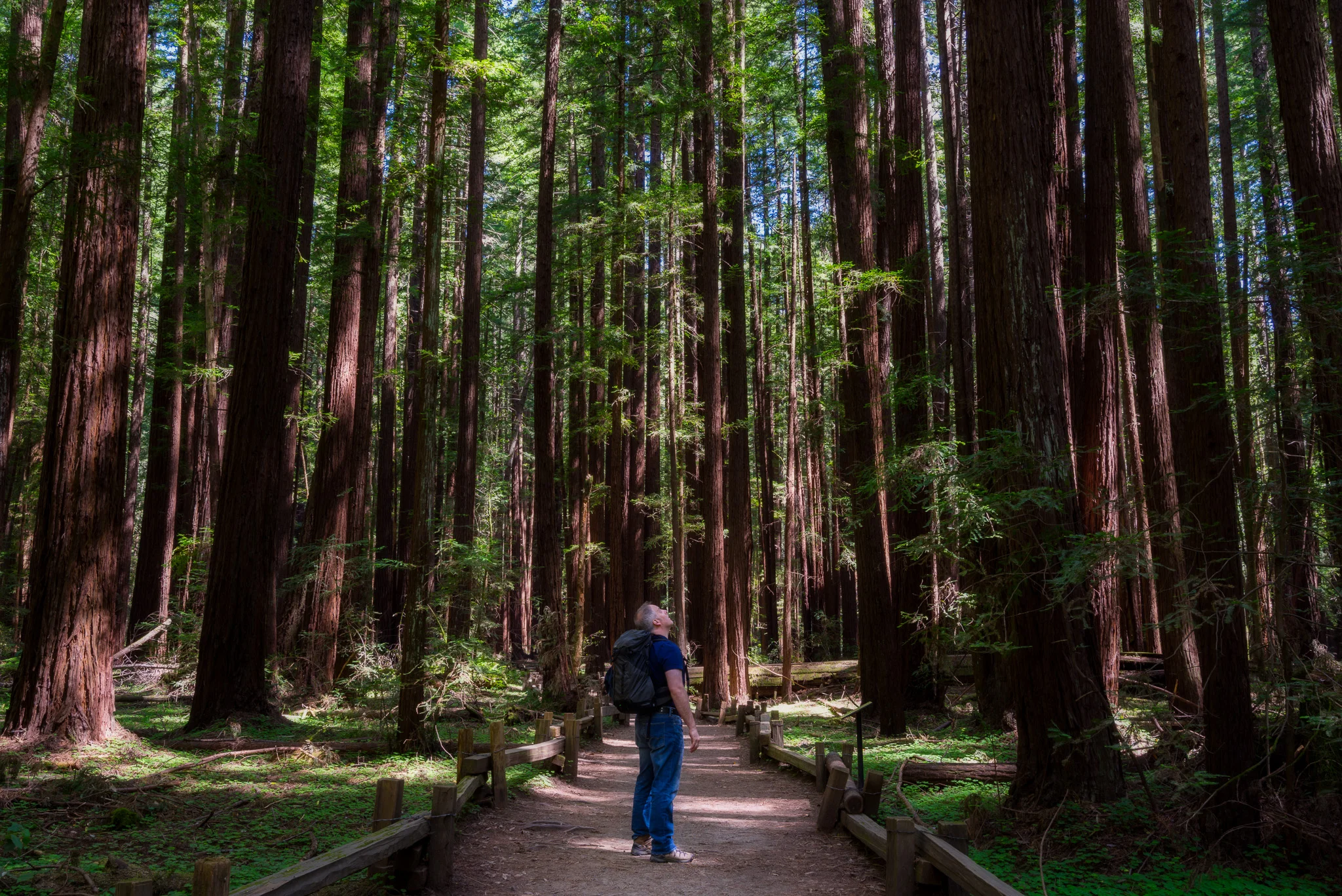 Photos Of Sonoma County