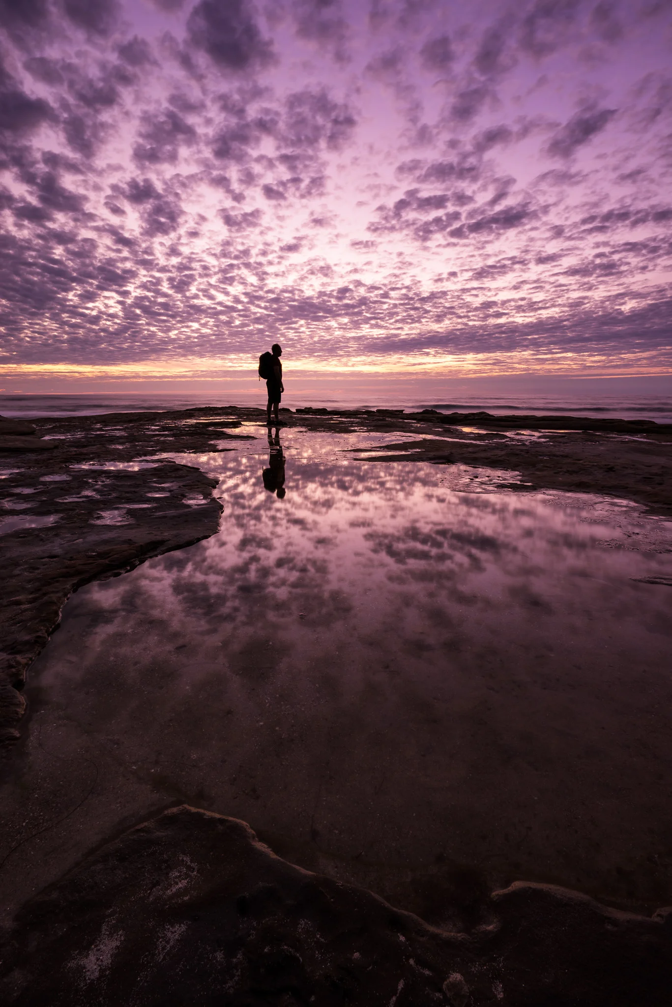 Self Portrait In La Jolla