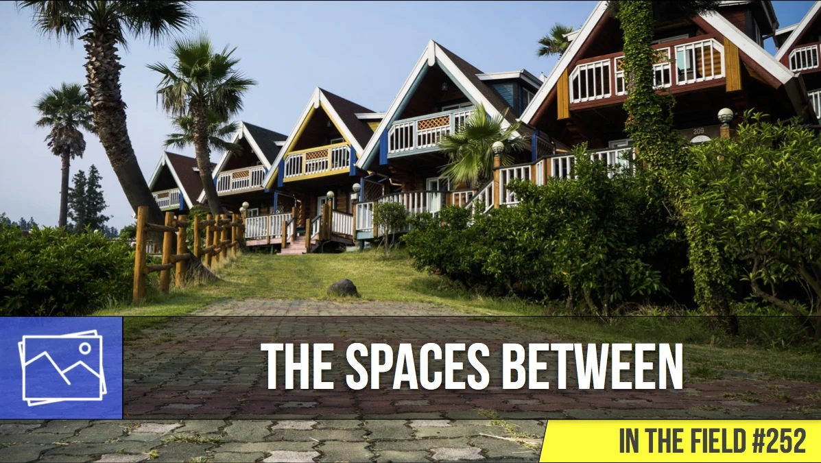In The Field: The Spaces Between #252