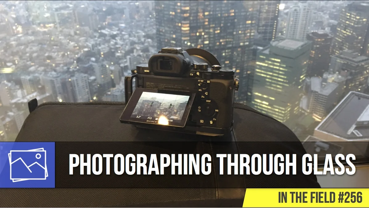 In The Field: Photographing Through Glass #256