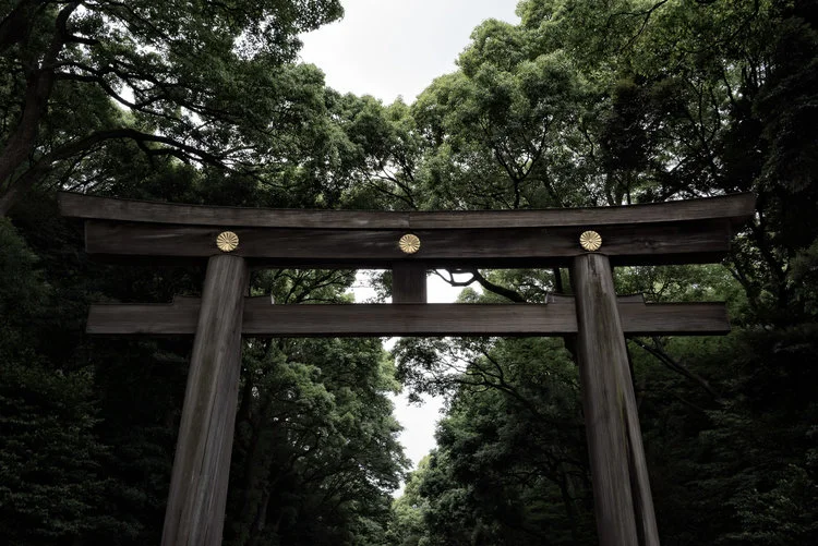 Mask To Accentuate Your Subject