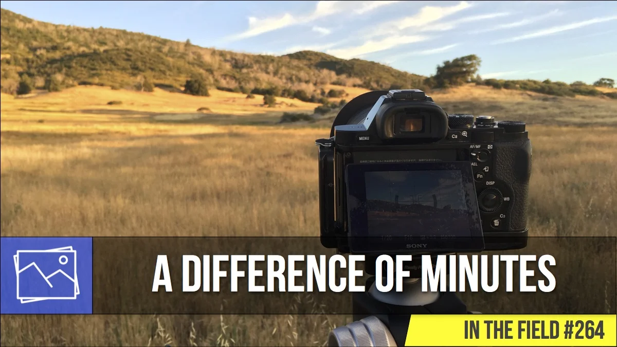 In The Field: A Difference Of Minutes #264