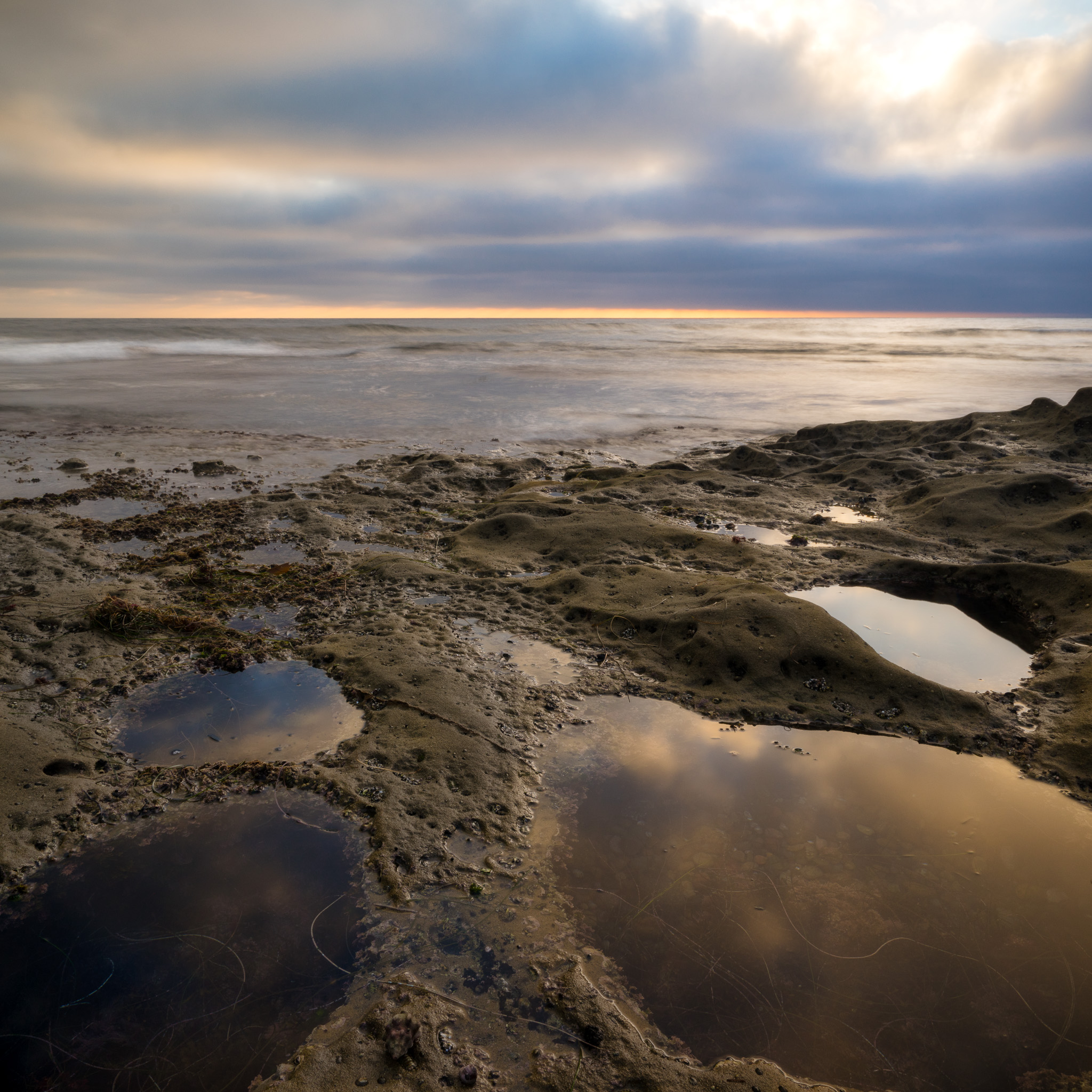Tidepool Reflections