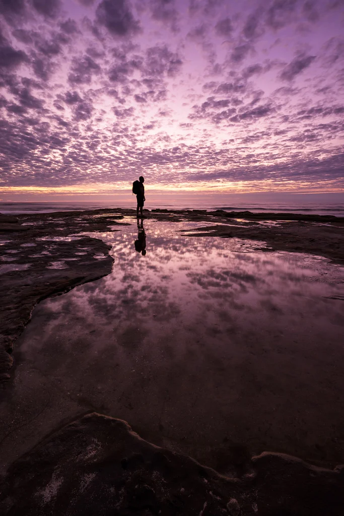 Self Portrait In La Jolla