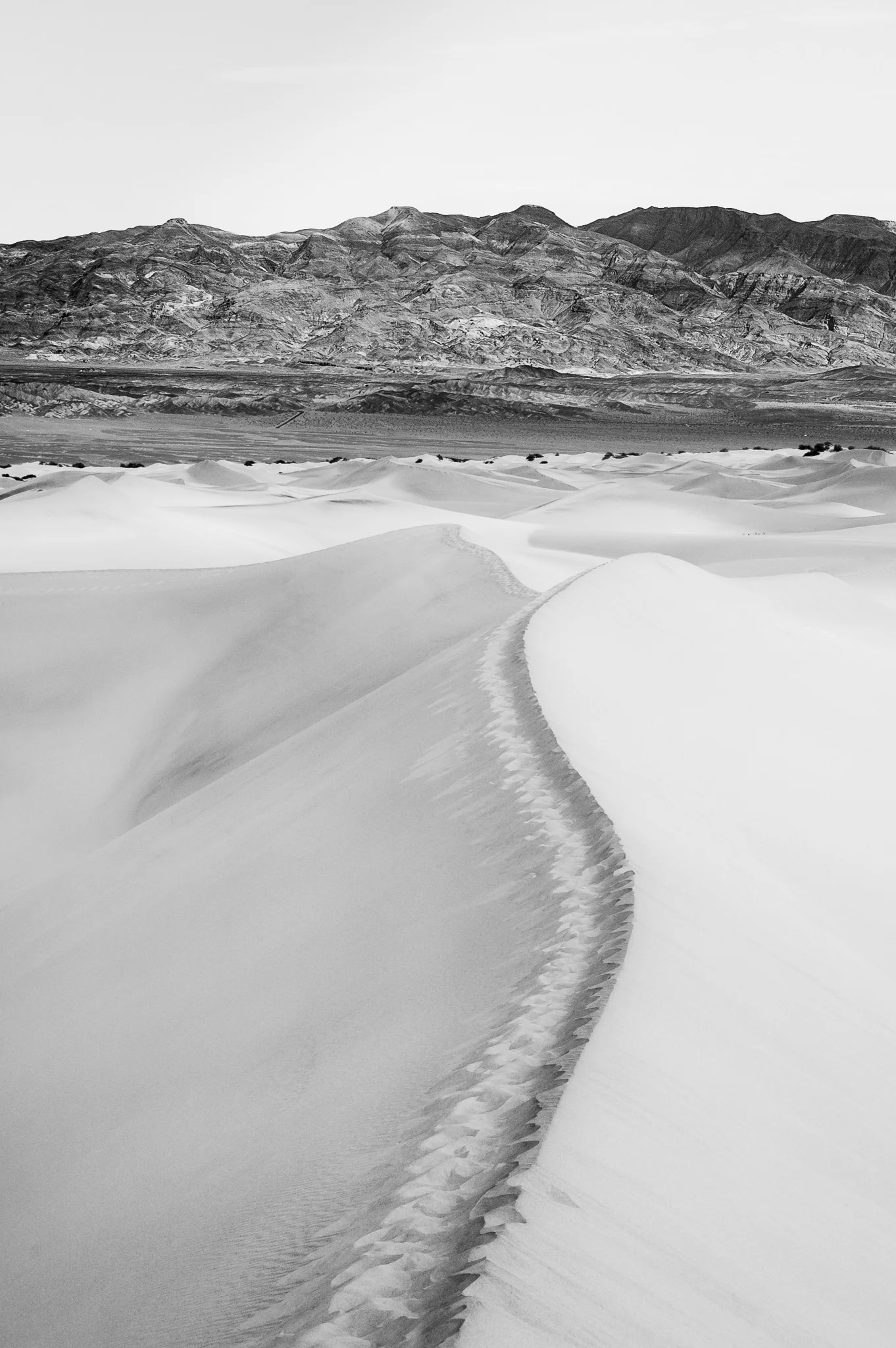 Death Valley Workshop Registration Is OPEN