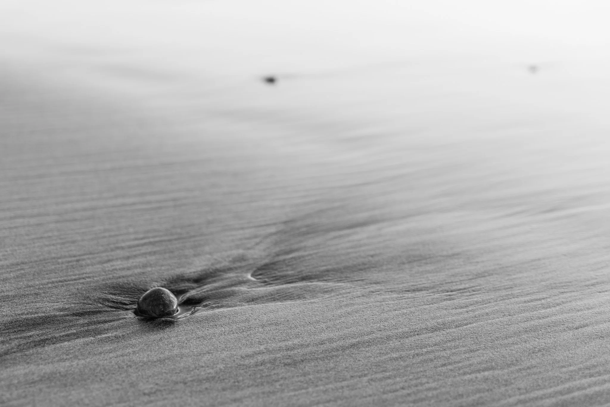 Stone, Torrey Pines