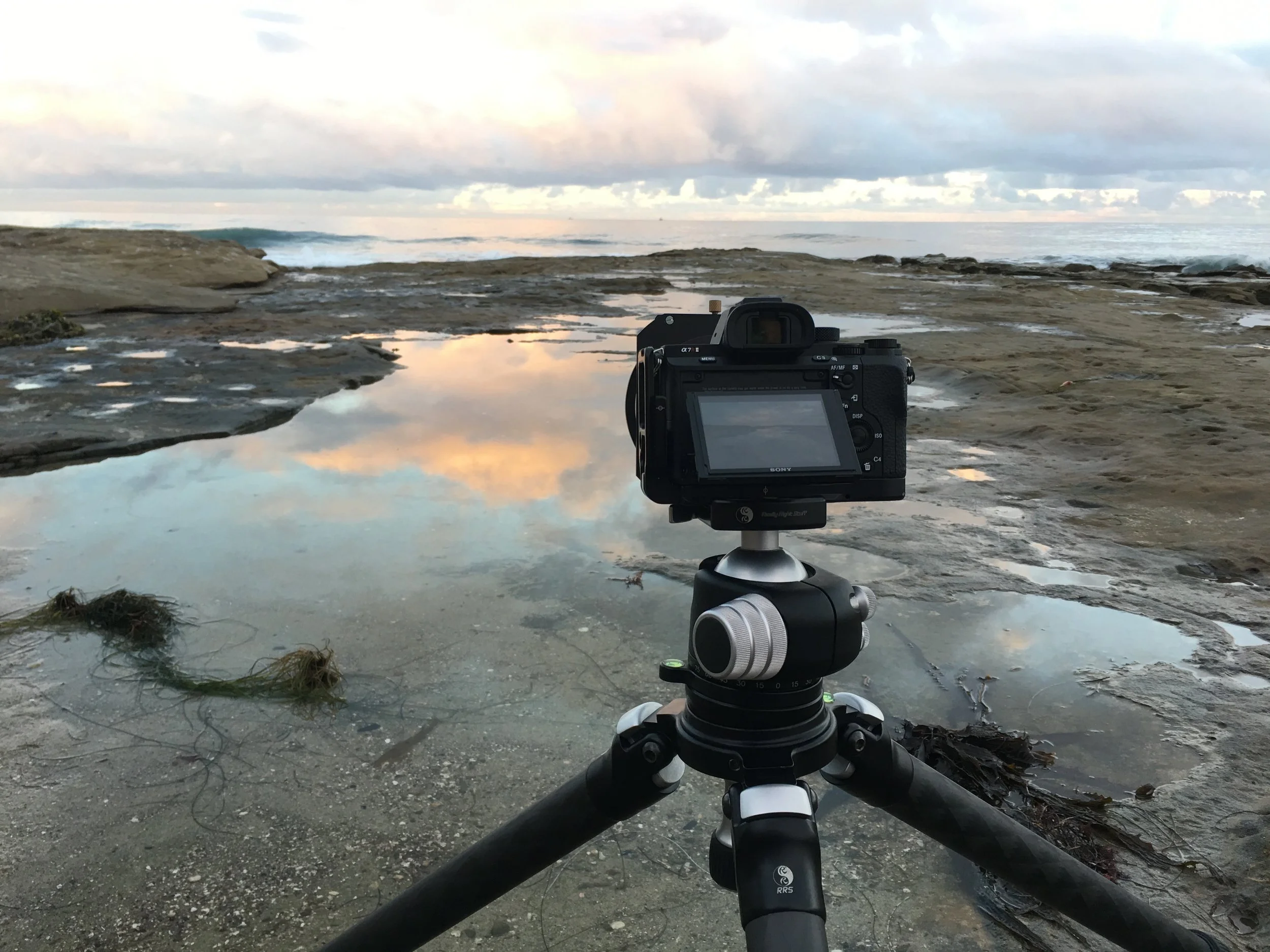 My Sony A7RII Settings