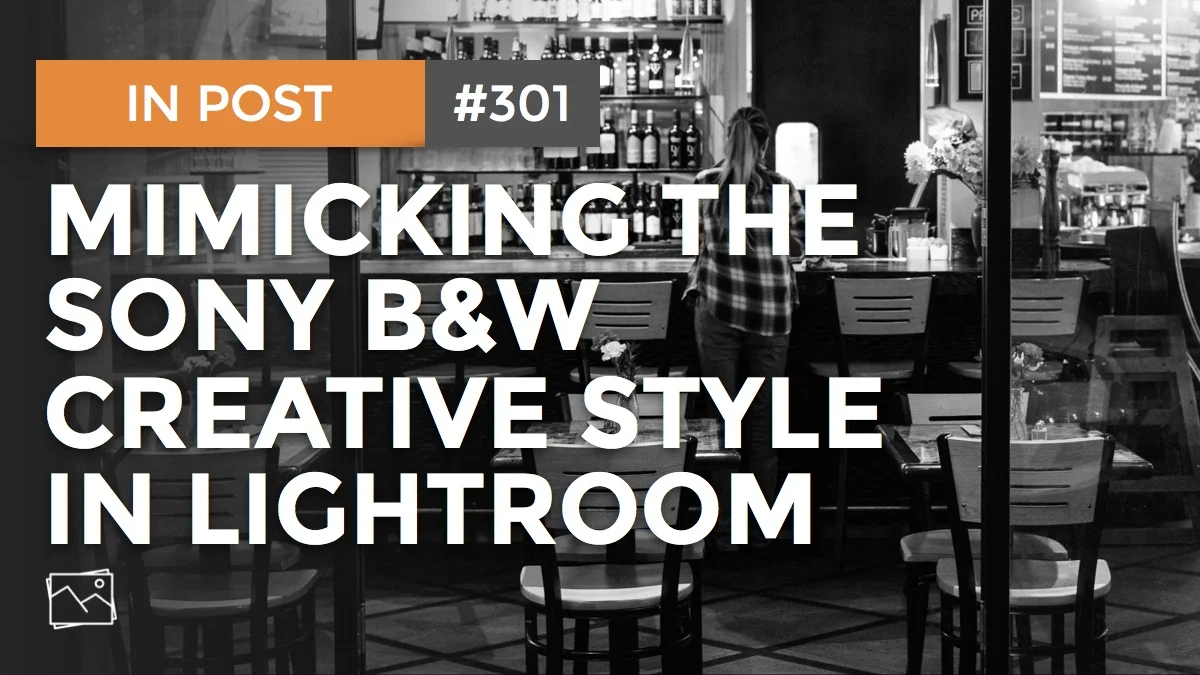 In Post: Mimicking The Sony B&W Creative Style In Lightroom #301