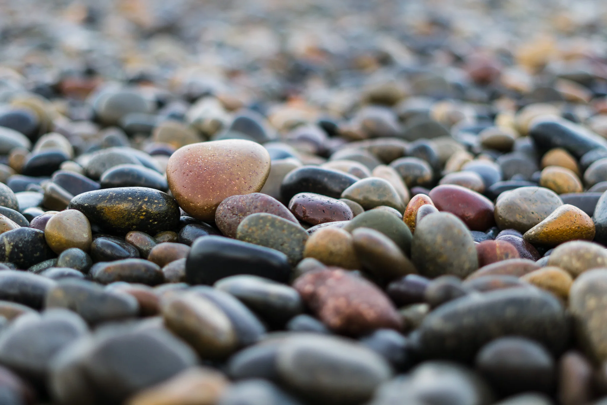 Stones, Torrey Pines