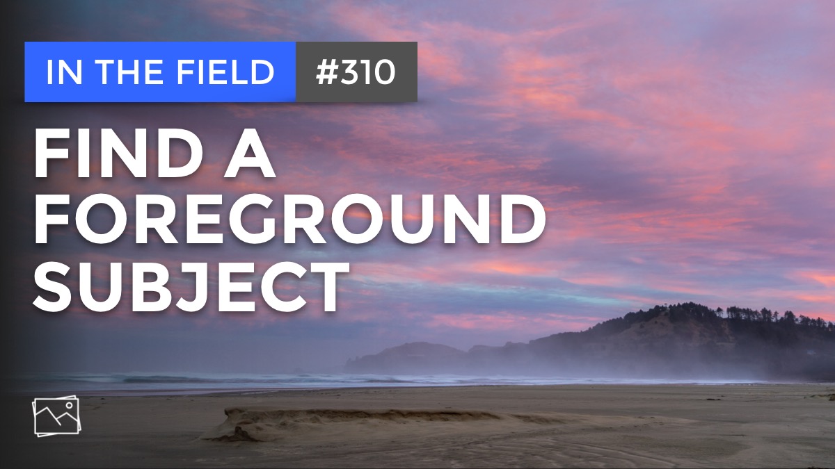 In The Field: Find A Foreground Subject #310