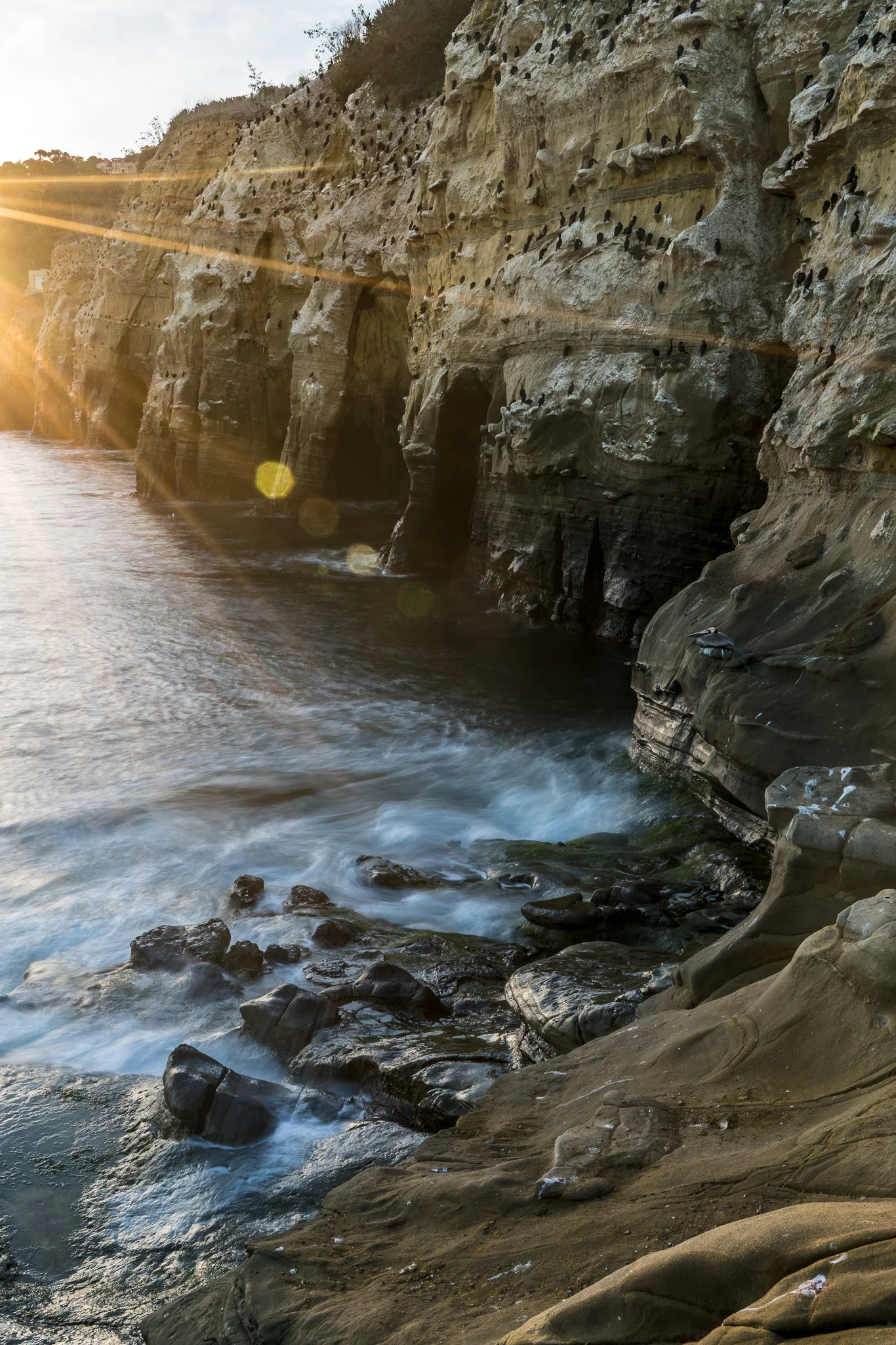 Sea Caves, La Jolla (Redux)