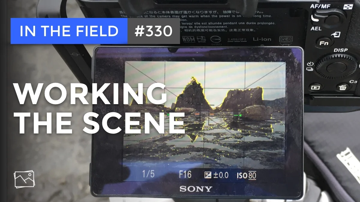 In The Field: Working The Scene #330