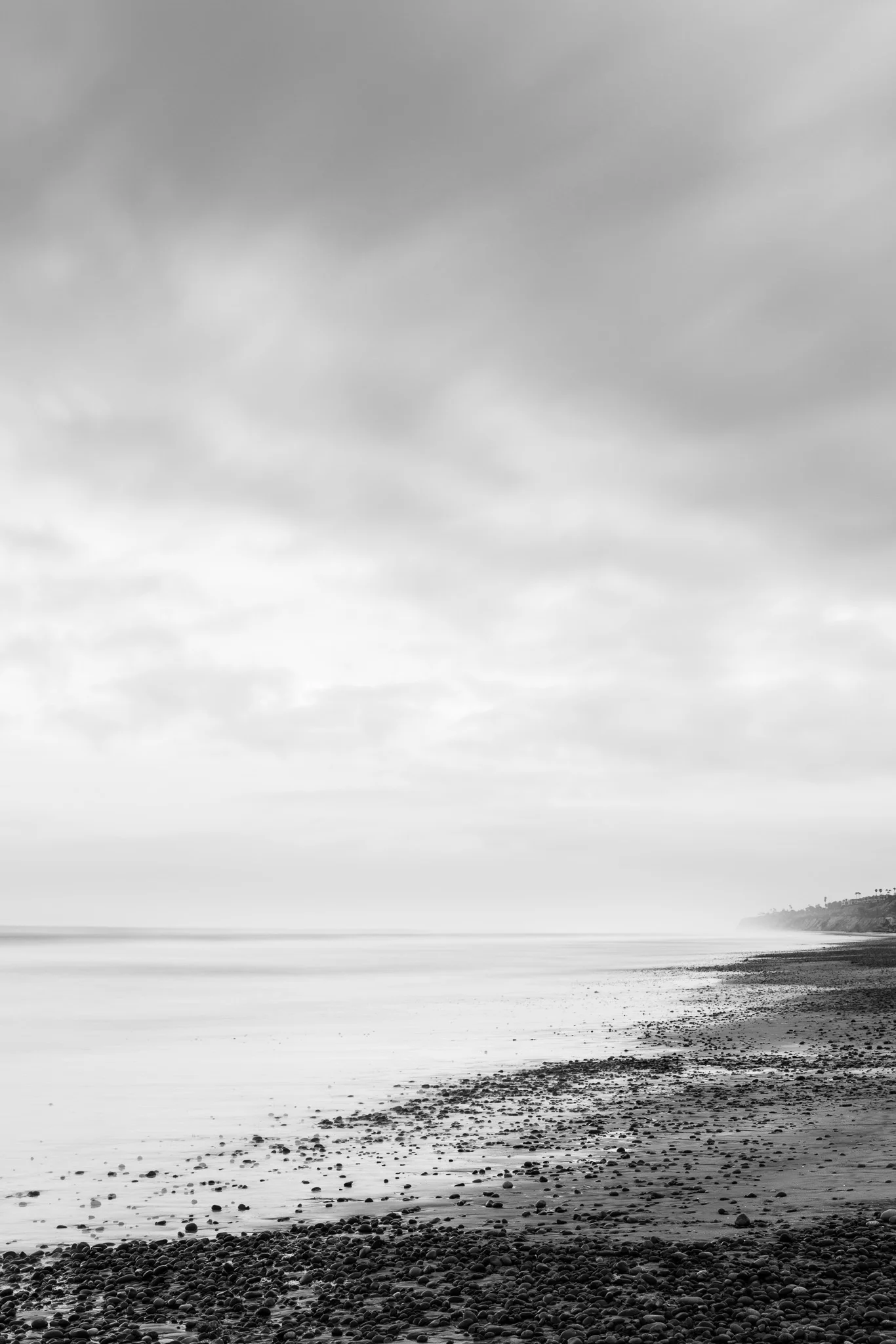 Soft Lines At Torrey Pines