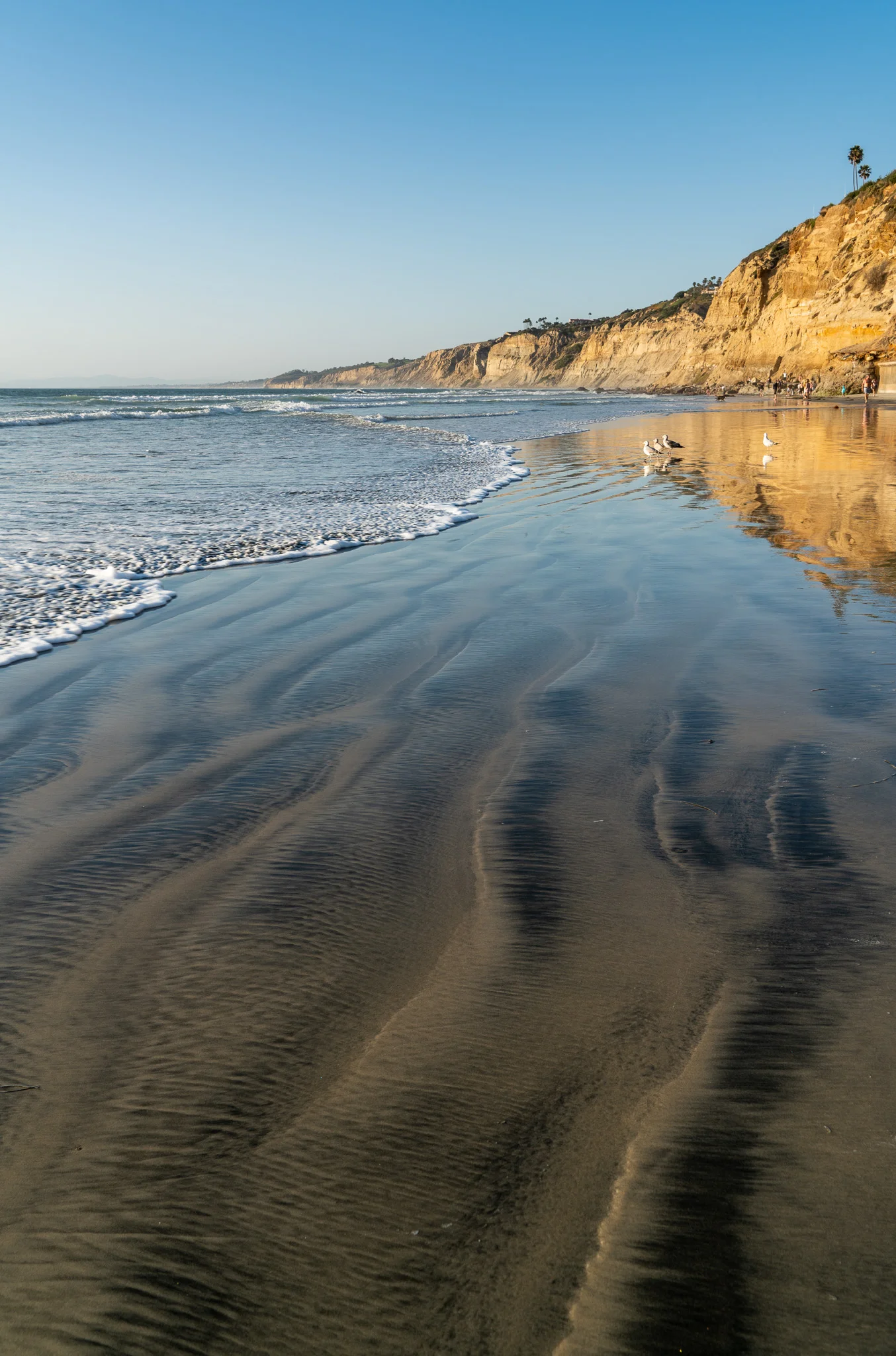 Scripps Beach Afternoon
