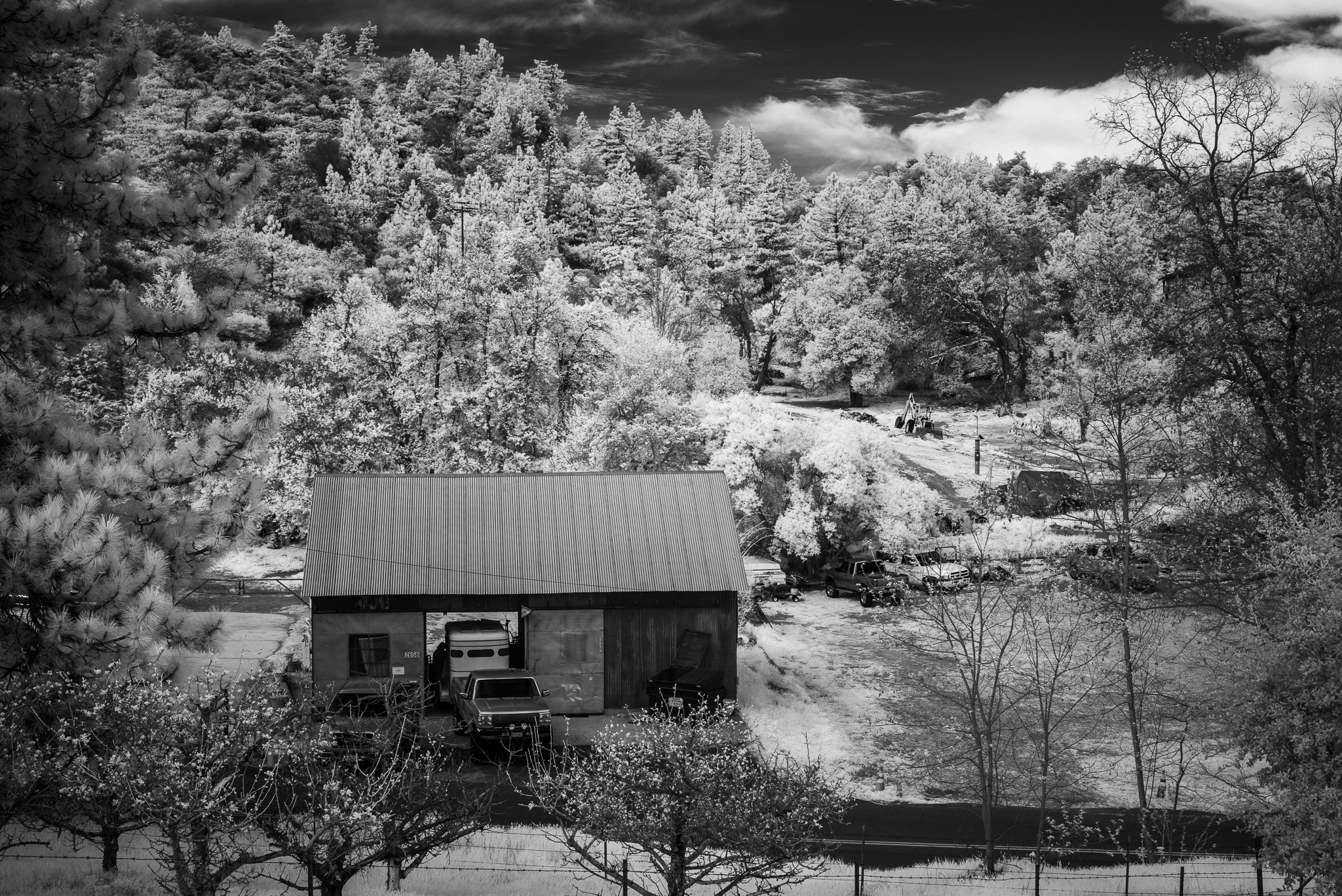 Julian In Infrared