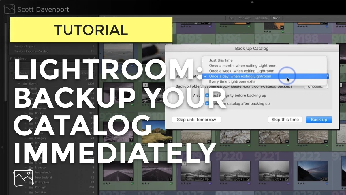 Backup Your Lightroom Catalog Immediately