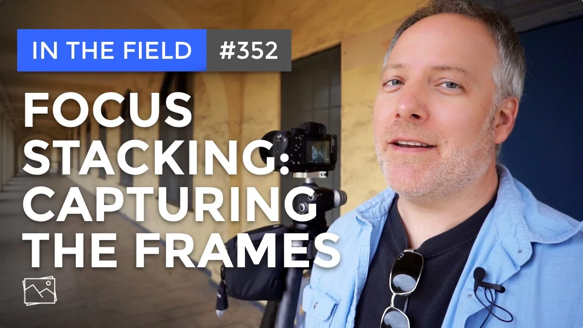 In The Field: Focus Stacking - Capturing The Frames #352