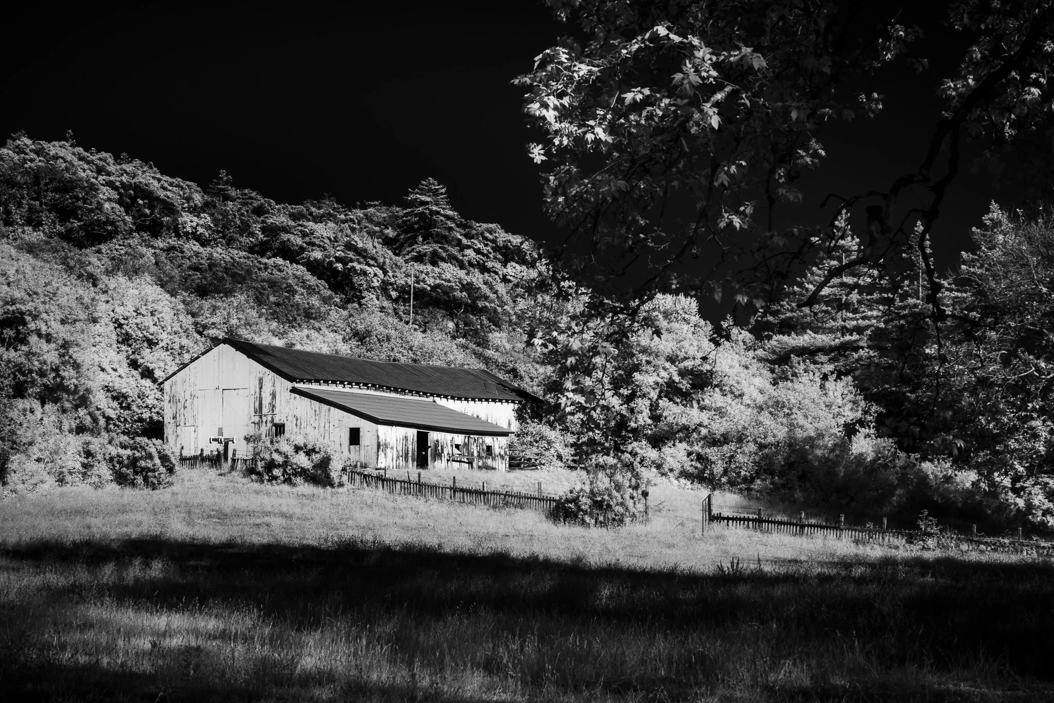 Barn, Andrew Molera State Park, Big Sur, California Contact Scott to commisson a print or license this image.
