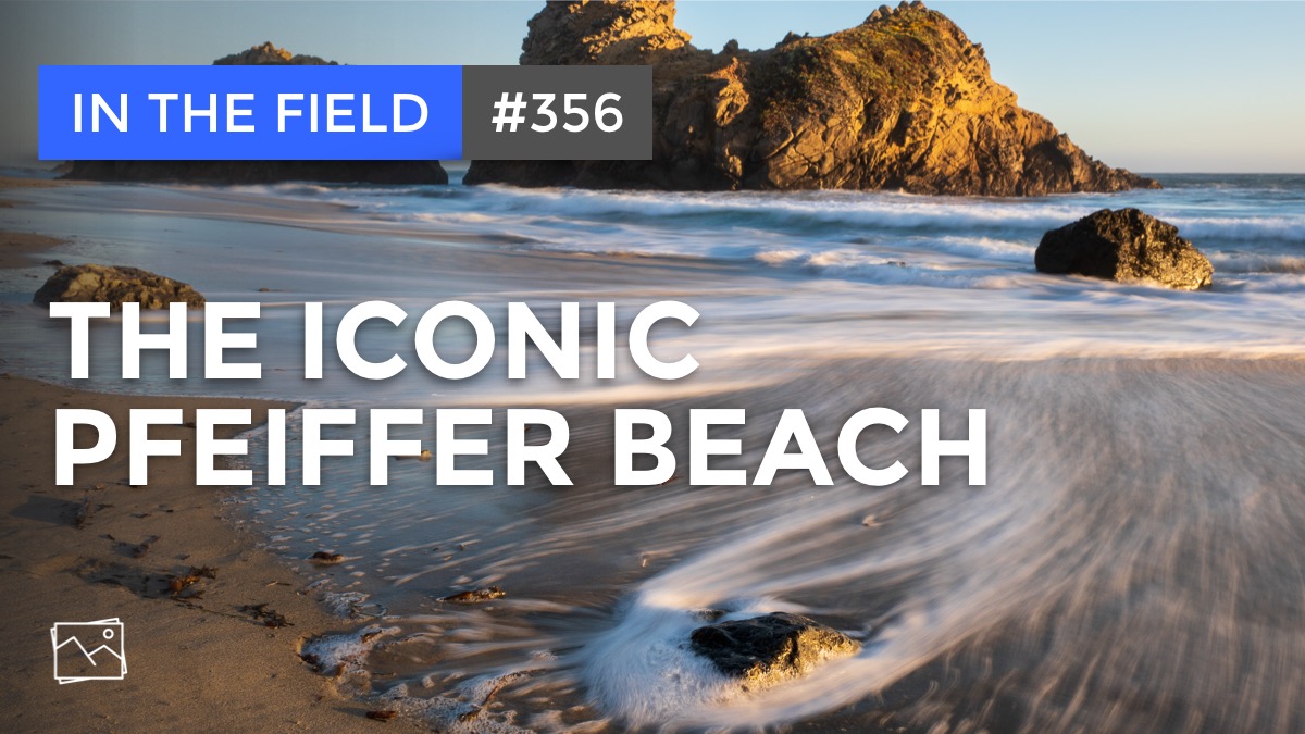In The Field: The Iconic Pfeiffer Beach #356