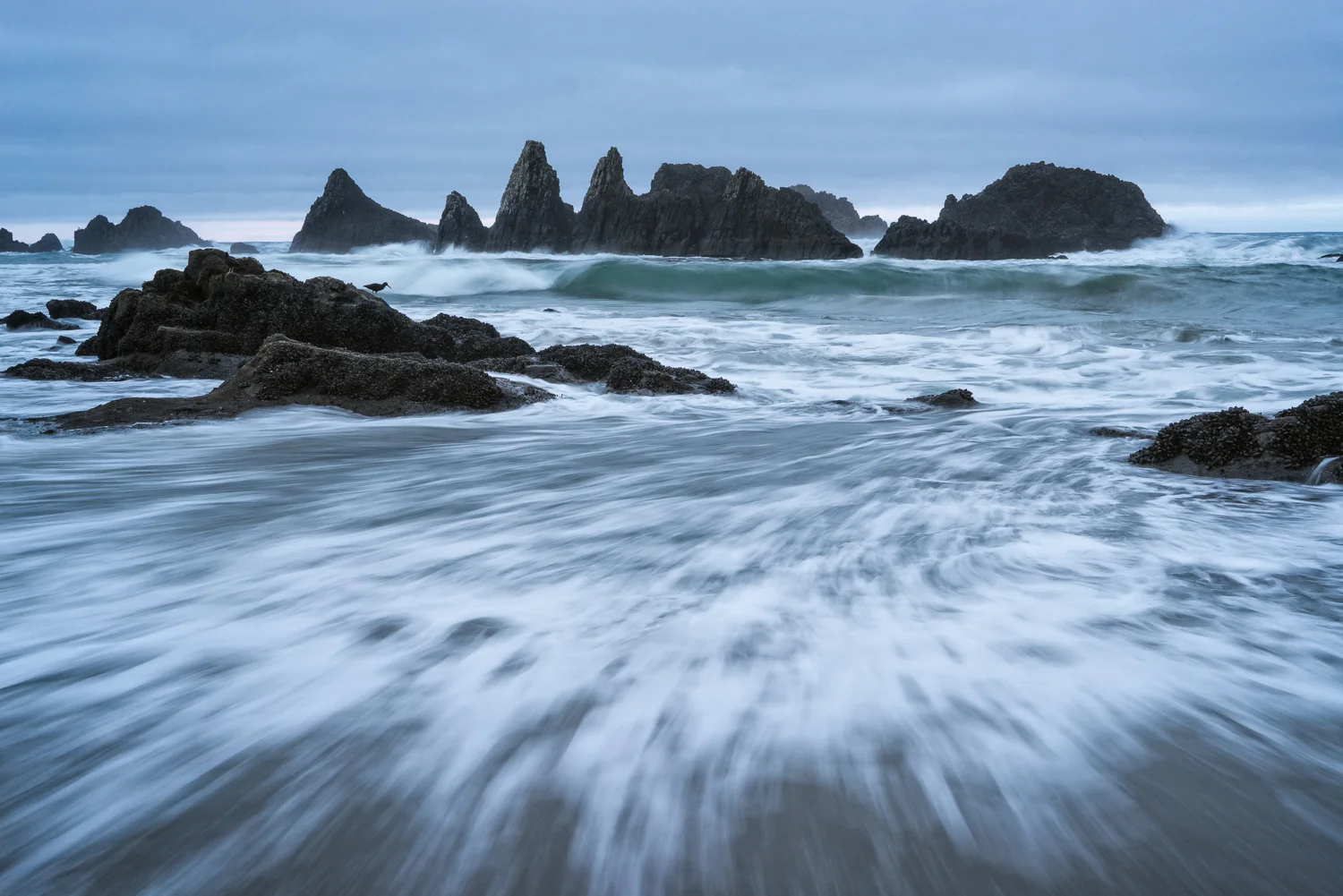 In The Field From Archives Seal Rock Beach 358 Scott Seal Rock Beach