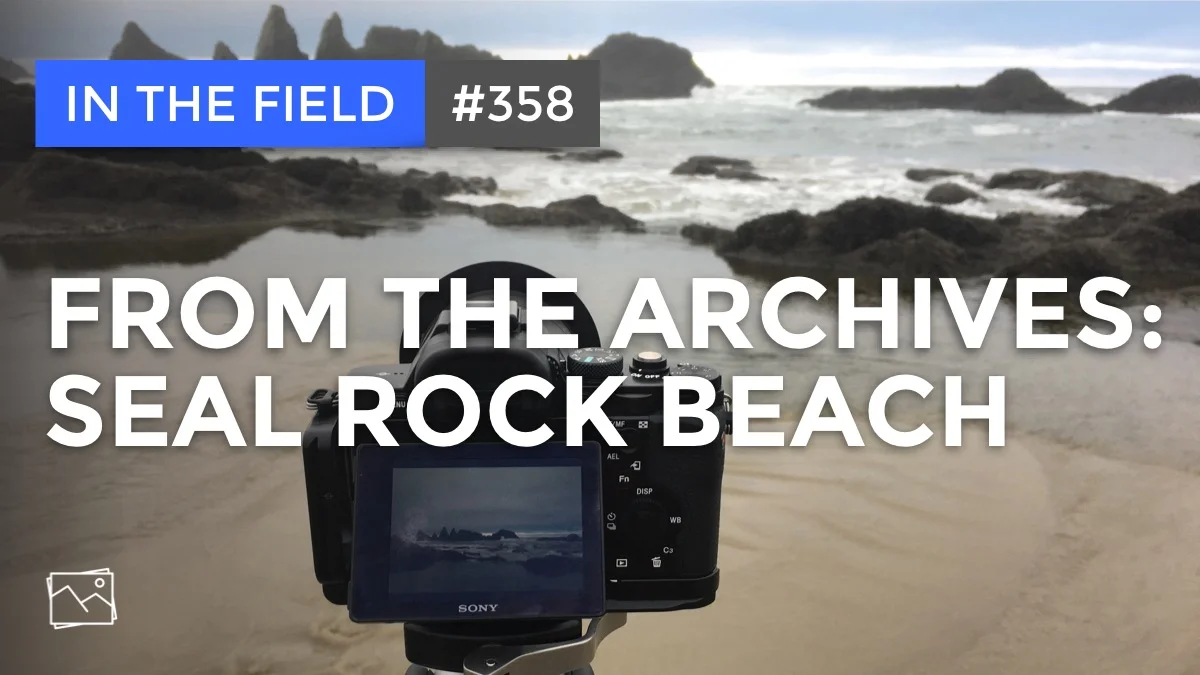 In The Field: From The Archives - Seal Rock Beach #358
