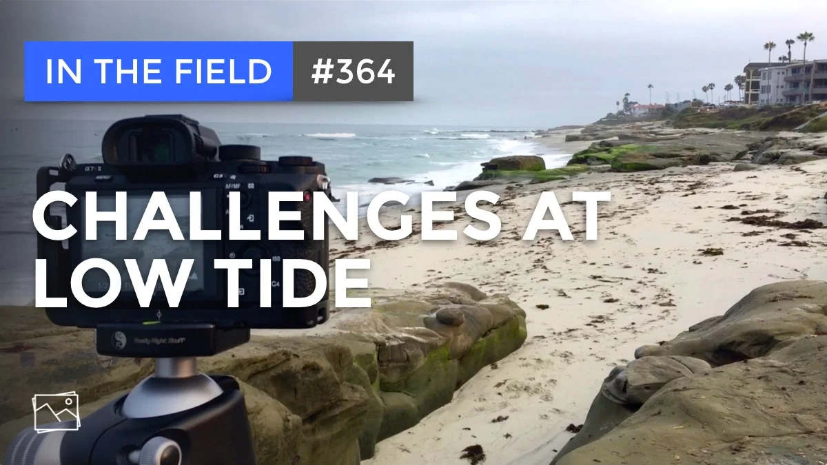 In The Field: Challenges At Low Tide #364